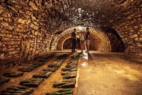 Private access to one of Bohemia’s oldest wine cellars