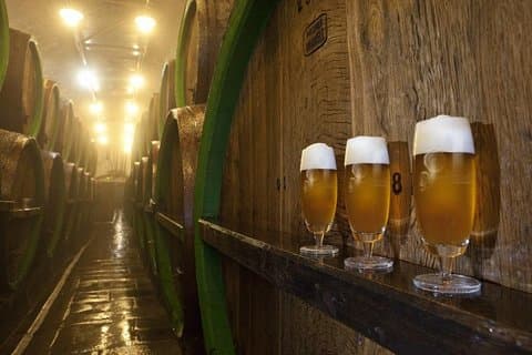 Enjoy Pilsen and Pilsner Urquell beer
