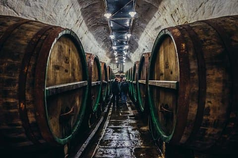 Private Tour to Pilsner Urquell from Prague