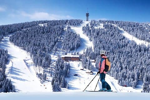 One Day Ski Adventure from Prague with Ski Instructor