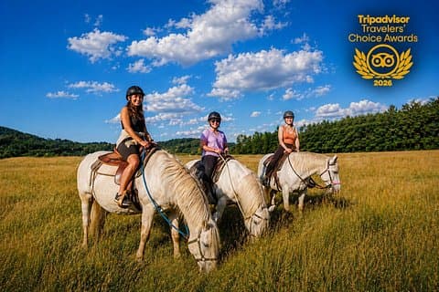 Horseback Riding Tour in Bohemian Switzerland