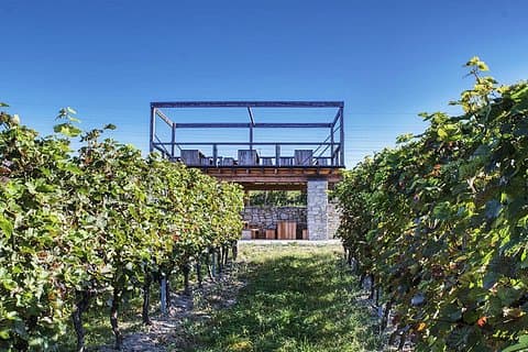 From Prague: Private Bohemian Wine Tour & Local Delicacies