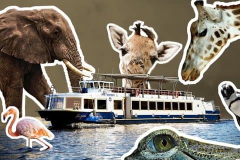 Admission Ticket to the ZOO with the Cruise Boat Transfer