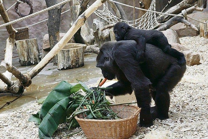 ZOO Prague