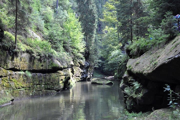 Canyon of Kamenice River