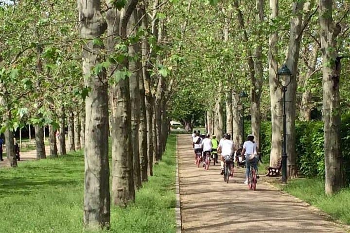 Riding through the park- PrahaBike Tour