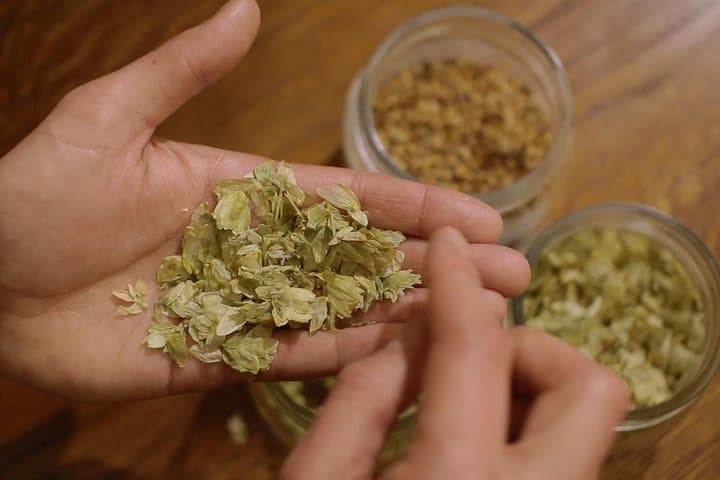 Czech hops gives the famous Czech beer a unique taste