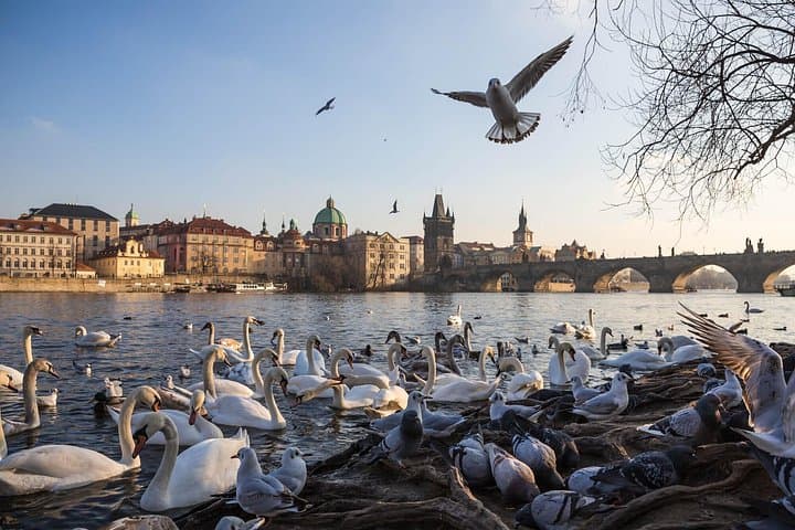 Prague Famous City Landmarks PhotoWalks Tour