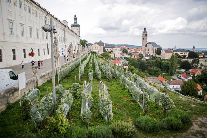 Kutná Hora UNESCO, Bone Church & Biodynamic Wine Private Tour