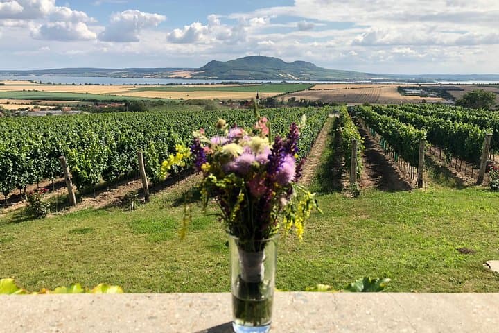 Ultimate private wine tasting experience from Prague to Moravia (3 days)