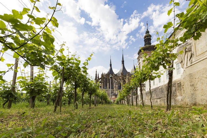 Kutná Hora UNESCO, Bone Church & Biodynamic Wine Private Tour