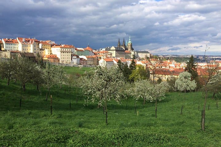 Prague castle