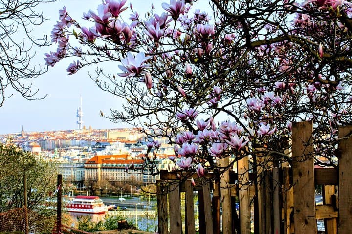 Prague: breathtaking views and parks city game
