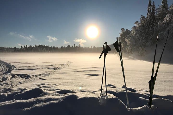 Guided Winter Wonderland Snowshoeing Adventure From Prague