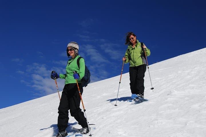 Guided Winter Wonderland Snowshoeing Adventure From Prague