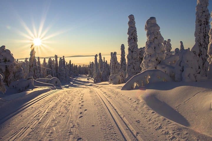 Cross-Country Skiing Guided Tour From Prague