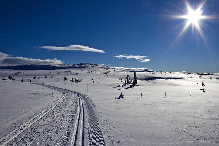 Cross-Country Skiing Guided Tour From Prague