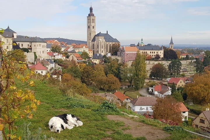 Kutná Hora and Bone church - private with PersonalPragueGuide