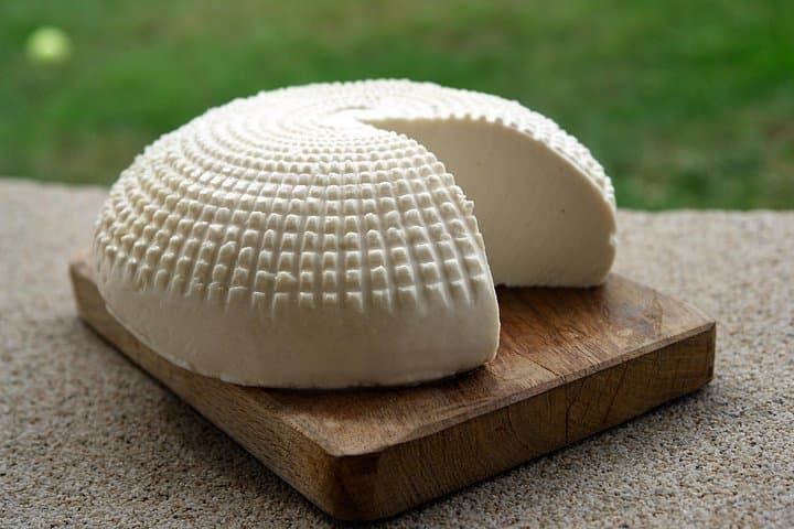 Home made goat cheese tasting