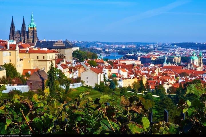 Prague Highlights Private Walking Tour: Castle & Hotel Pickup