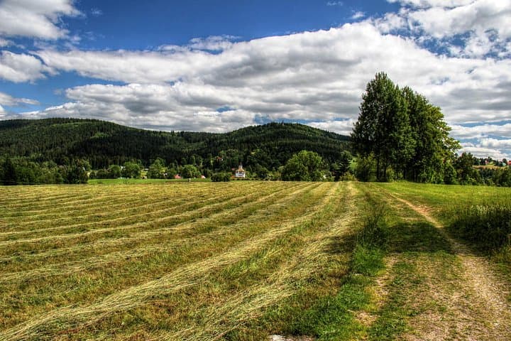 The landscape on the way