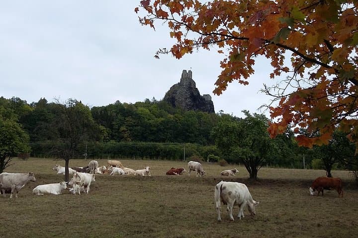 Castle Ruins Trosky