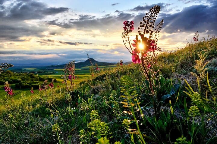 Sunset on hill Číčov