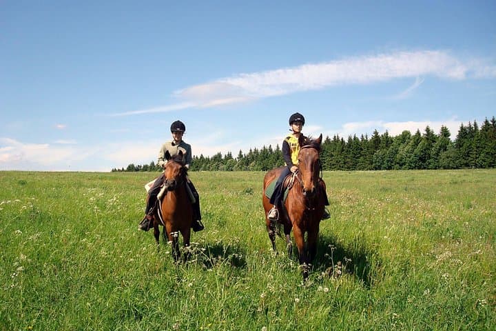 Horseback Riding Tour in Bohemian Switzerland