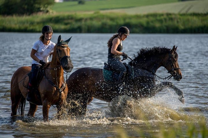 Horseback Riding Tour in Bohemian Switzerland