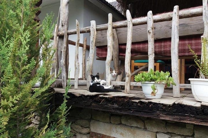 Highlights of Moldova - Curchi, Old Orhei and Cricova (Optional)