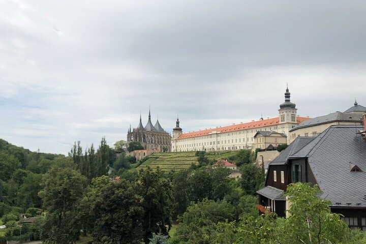Kutná Hora UNESCO, Bone Church & Biodynamic Wine Private Tour