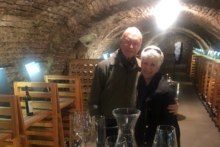 Ultimate private wine tasting experience from Prague to Moravia (3 days)