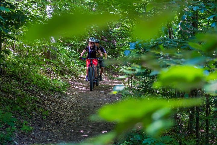 Prague E-Mountain Biking Adventure In The Bohemian Paradise