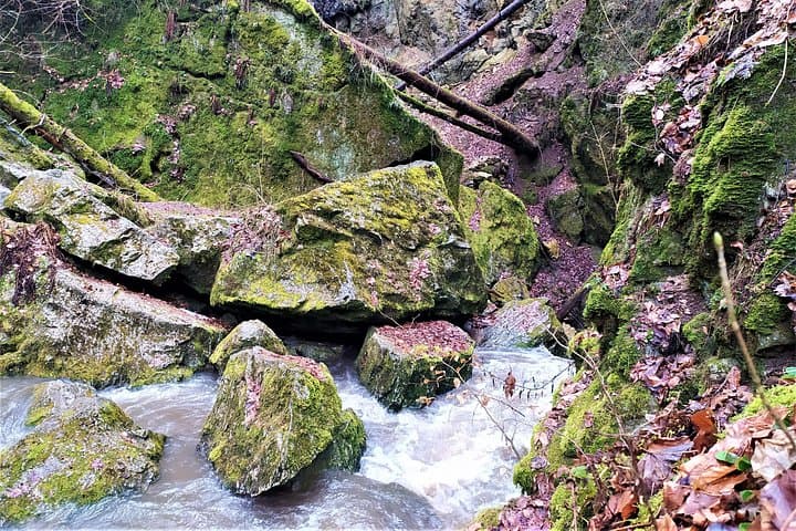 Discover near Brno: Wonders of Moravian Karst - Half-Day tour