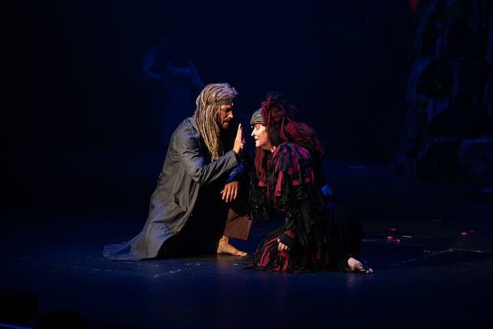Disney Musical TARZAN