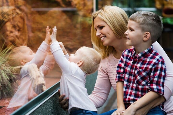 Prague Zoo Skip-the-line Tickets and Private Transfers