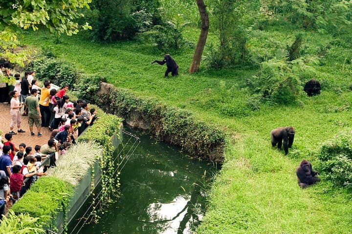 Prague Zoo Skip-the-line Tickets and Private Transfers