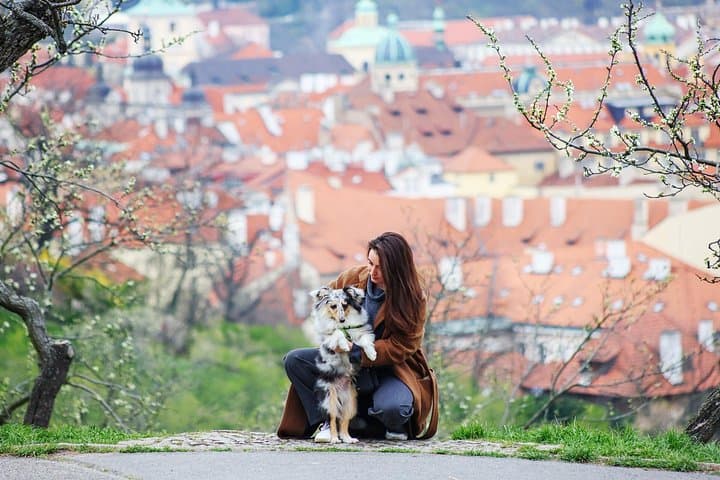 Skip-the-line Petrin Tower Prague Private Tour with Tickets