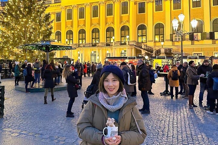 Vienna Full Day Trip From Prague with Private Transfers and Guide