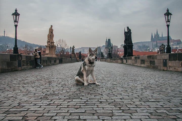 2 Days of Prague Exploration: Left and Right bank of Vltava River