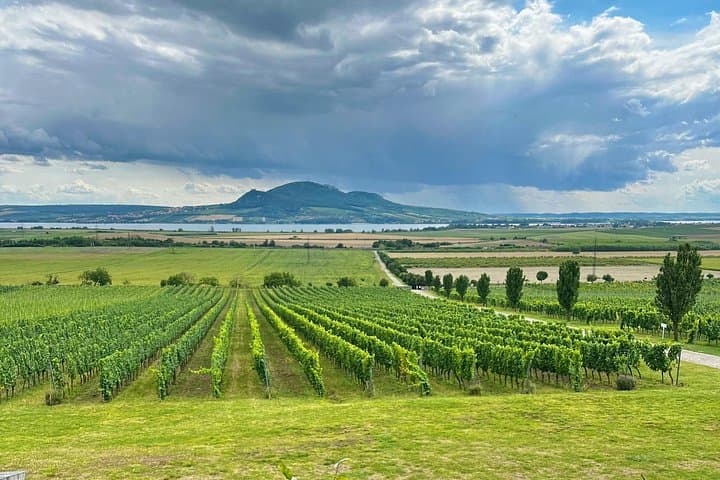 e bike and wine tasting day trip from frno