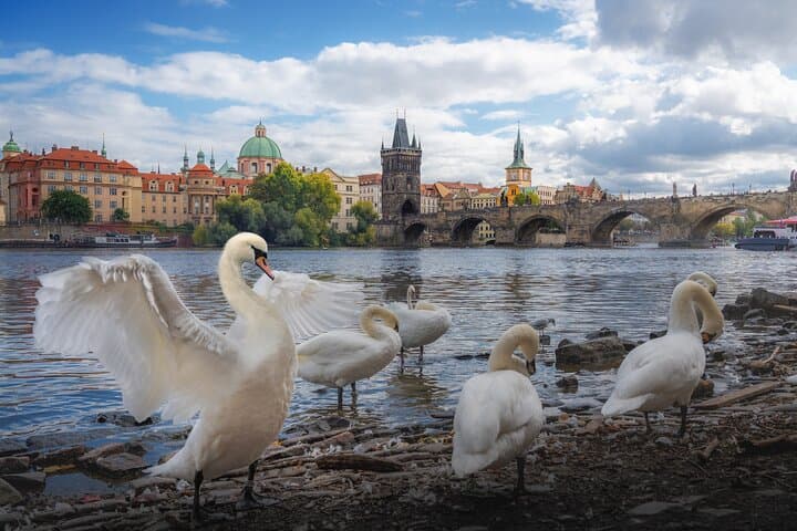 Private Transfer from Prague to Munich with 2h Sightseeing