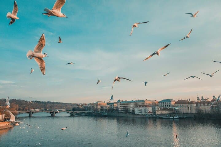 VIP Prague tour: Vintage car, Lunch, Castle, Old Town, Dancing h.