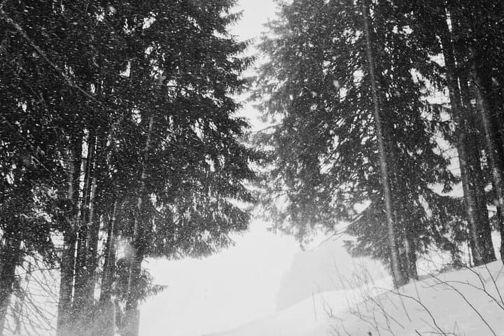 Winter Adventure day in Mountains: 3 km sledge ride