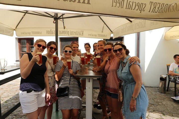 Amazing Czech Beer Experience with a Live Guide