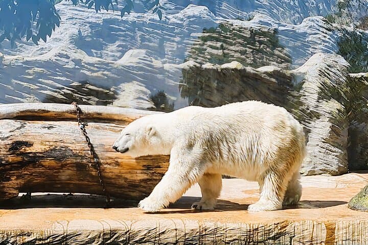 Admission Ticket to the ZOO with the Cruise Boat Transfer