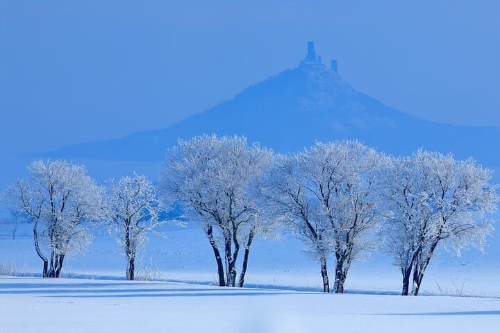 Cozy Winter Countryside Tour 4x4: Experience Authentic Bohemia