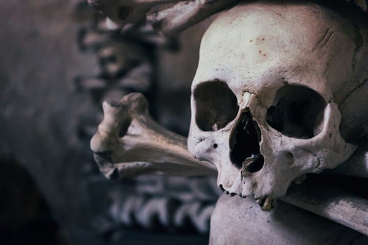 Cathedral and Bone church Tour from Prague to Kutna Hora