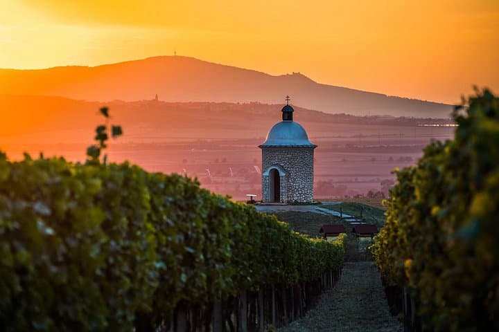 Moravian E-Bike & Wine Private Day Trip From Brno