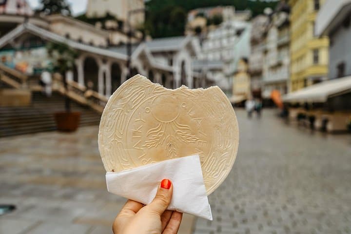 Karlovy Vary All-Inclusive from Prague: Springs, Views & Culture